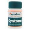support-acs-24-Cystone support-acs-24-Cystone